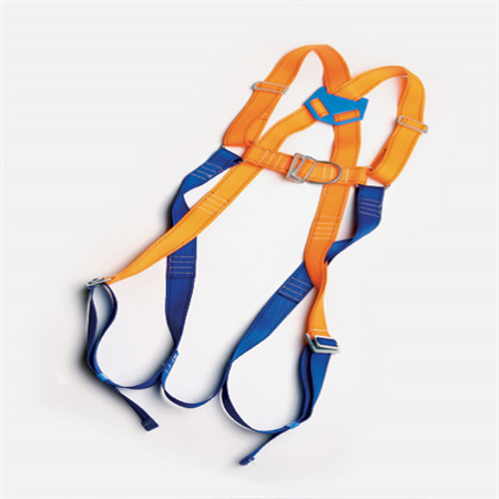 Safety Harness 2 Point Attachment