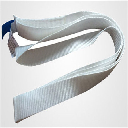 White Polyester Cargo Strap Endless Webbing Sling